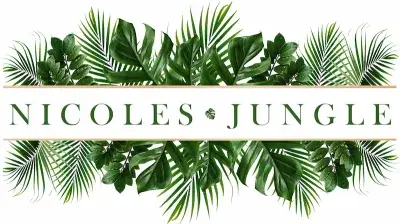 Nicole's Jungle logo with illustrated tropical leaves inside a rectangular frame