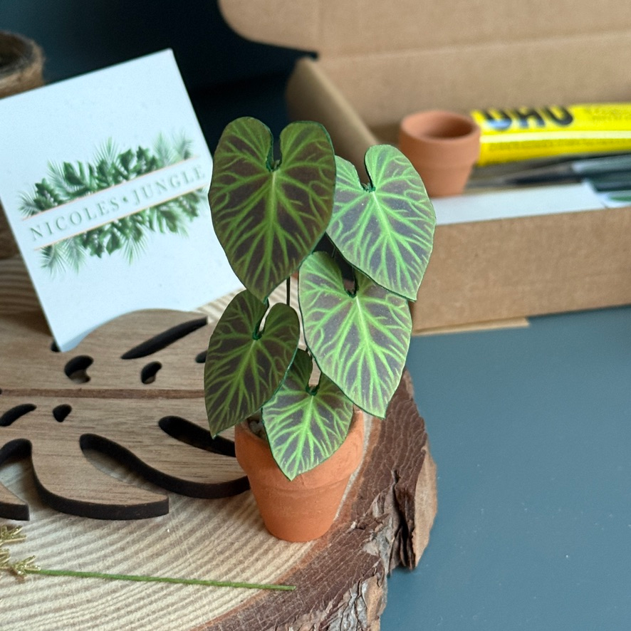 ‘Don’t Leaf Me This Way’ - Miniature Philodendron Verrucosum Paper Plant photo 0