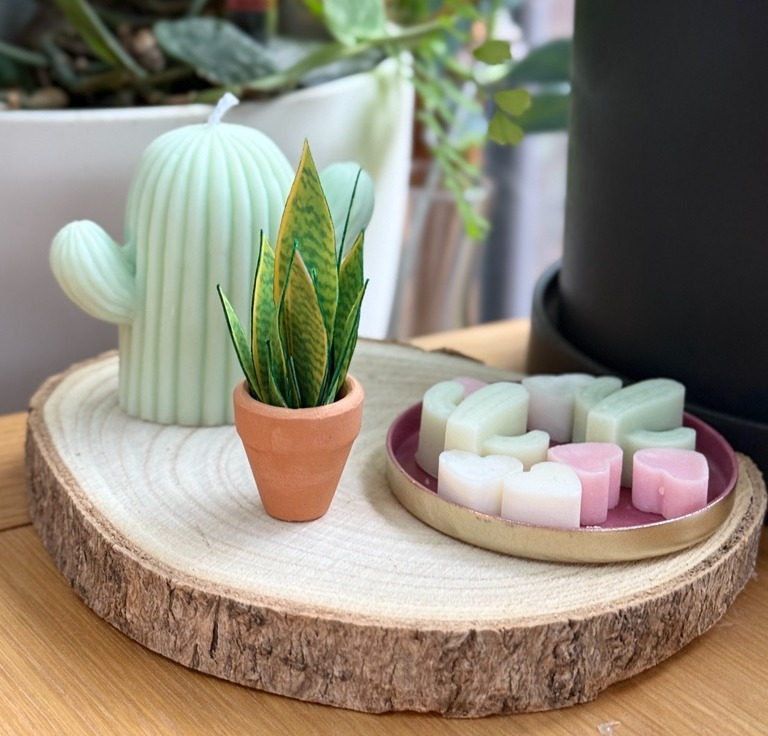 ‘Grow With The Flow’ Miniature Paper Snake Plant photo 0
