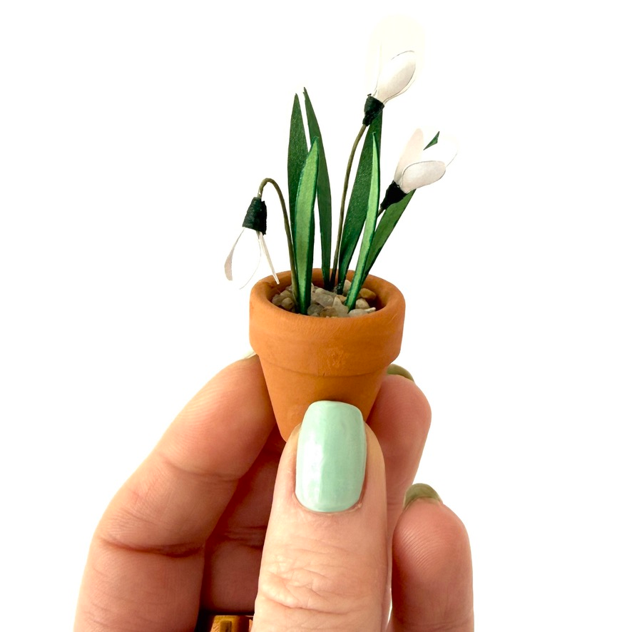 ‘Where Wild Blooms Grow’ Miniature Snowdrop Paper Plant photo 1