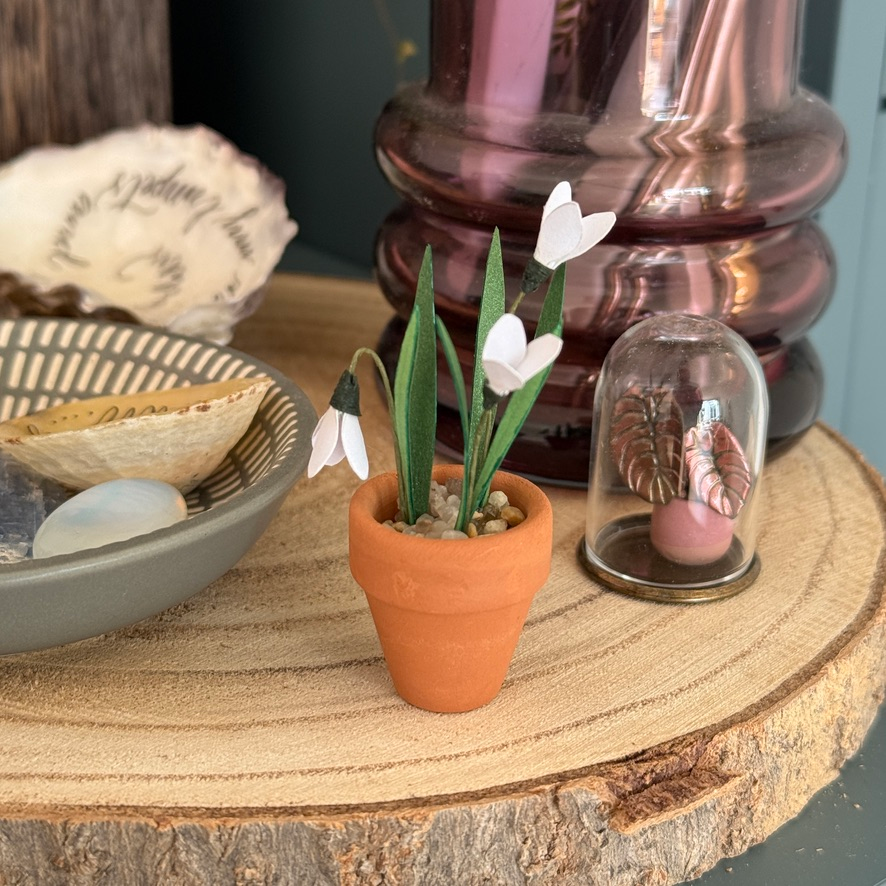 ‘Where Wild Blooms Grow’ Miniature Snowdrop Paper Plant photo 0