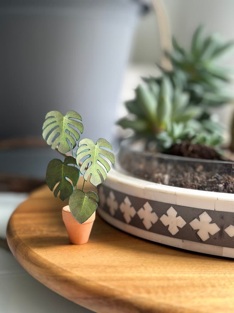 ‘I’ll Never Leaf You’ Miniature Monstera Paper Plant photo 2