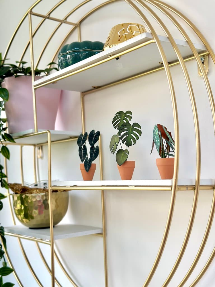 ‘I’ll Never Leaf You’ Miniature Monstera Paper Plant photo 4
