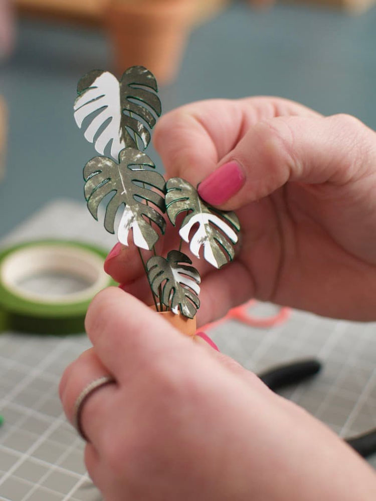 ‘You’re So Fake’ Miniature Monstera Paper Plant photo 2