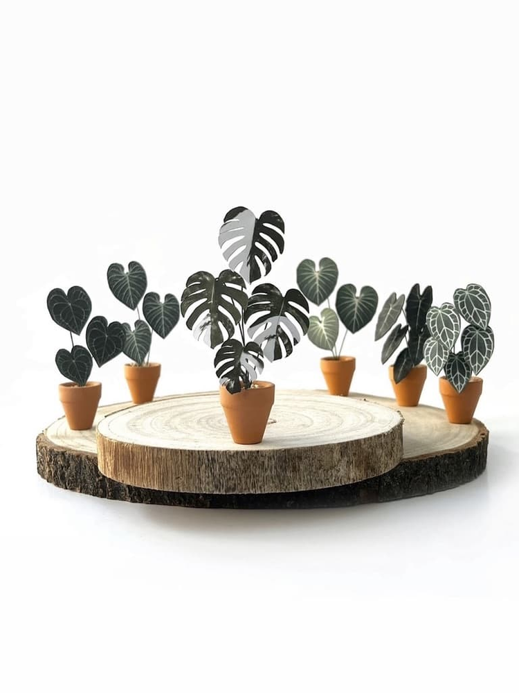‘You’re So Fake’ Miniature Monstera Paper Plant photo 3