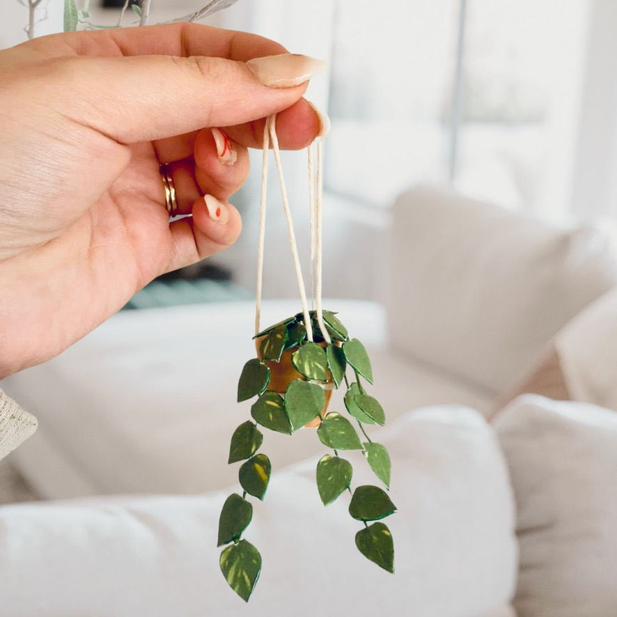 ‘You’re So Vine’ Miniature Pothos Paper Plant photo 0