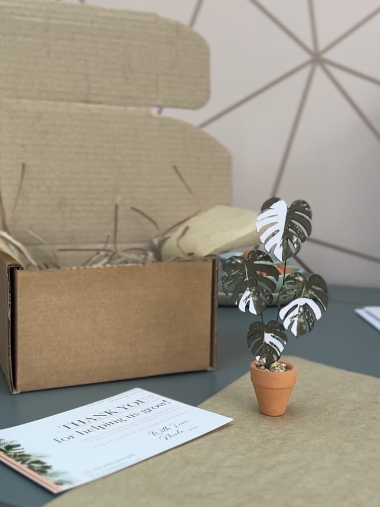 ‘You’re So Fake’ Miniature Monstera Paper Plant photo 4