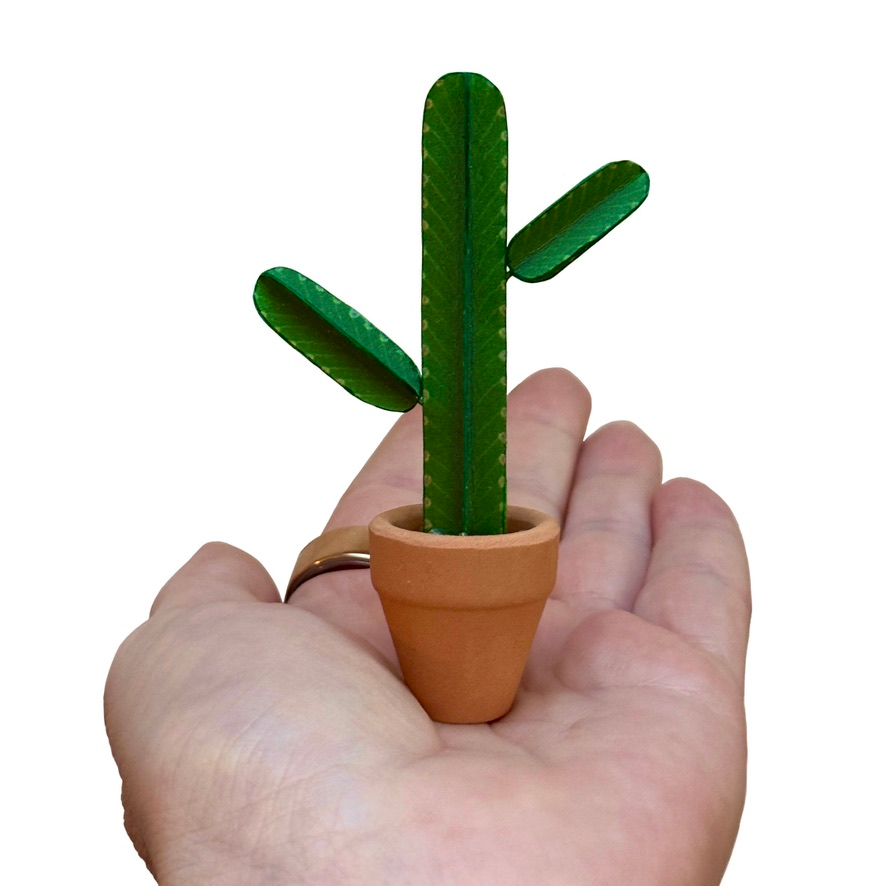 ‘Fix Up Look Sharp’ - Miniature Euphorbia Ingens Paper Plant photo 1