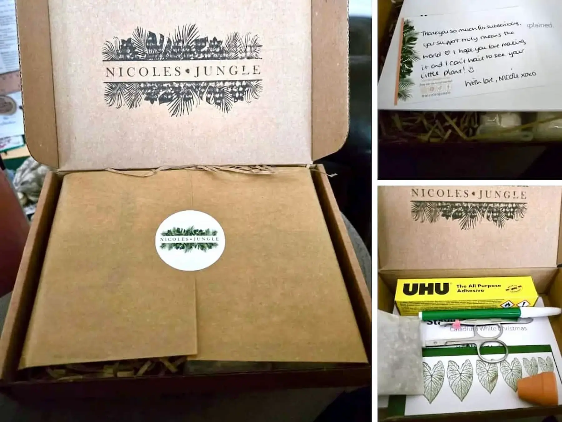Open Nicole's Jungle box with paper plant kit and handwritten note