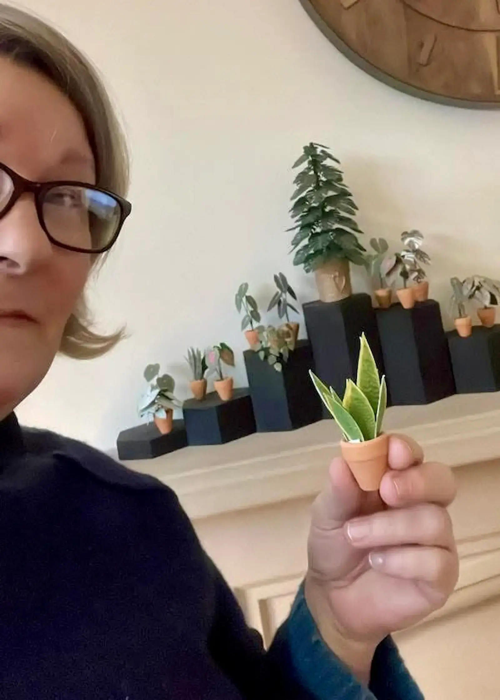 Customer holding a miniature paper snake plant with display plants behind