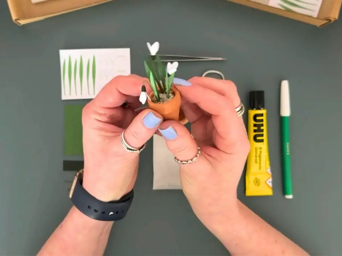 Miniature paper Snowdrop plant by Nicole’s Jungle