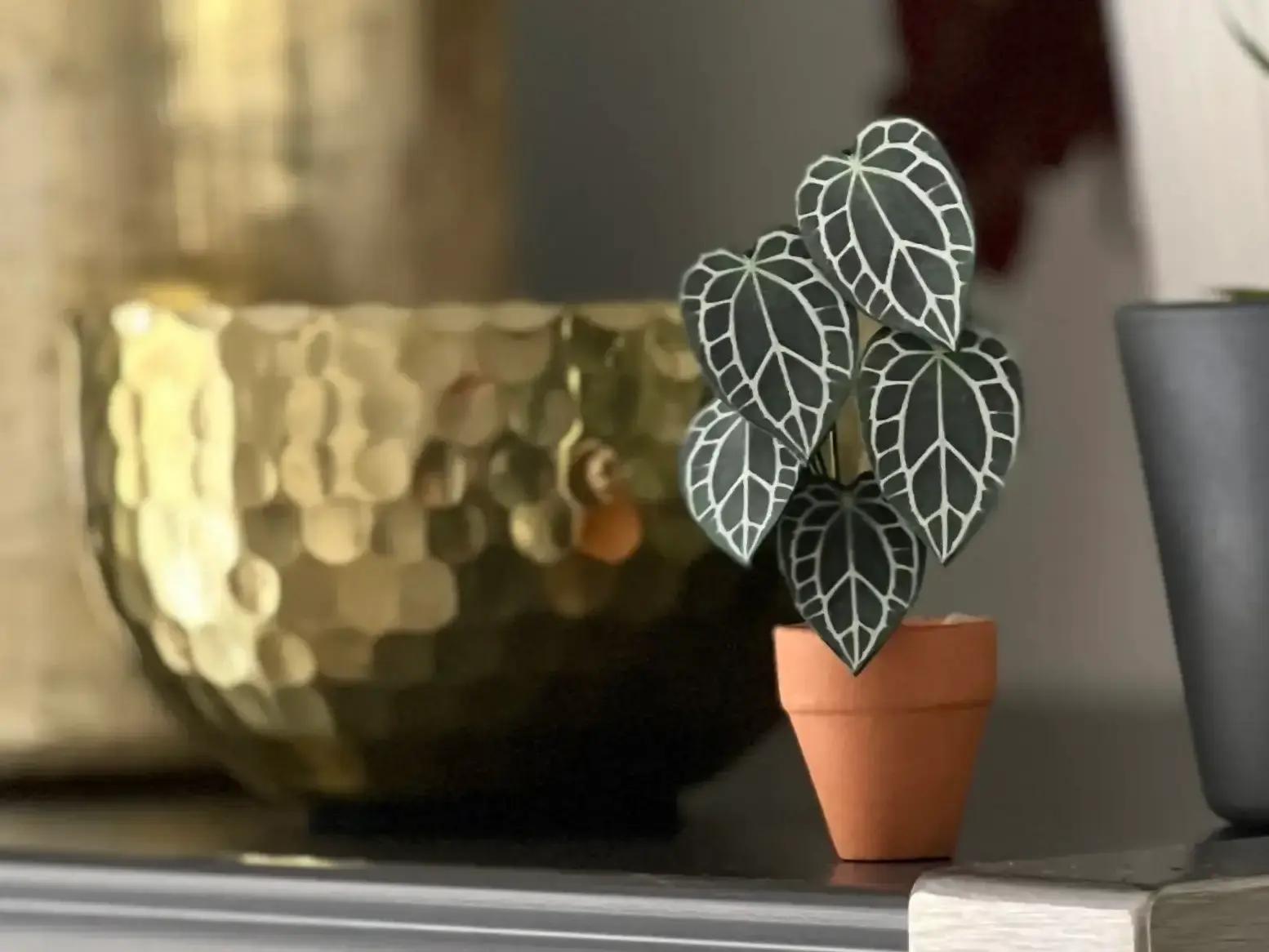Mini paper Anthurium with white veining on a shelf among real plants