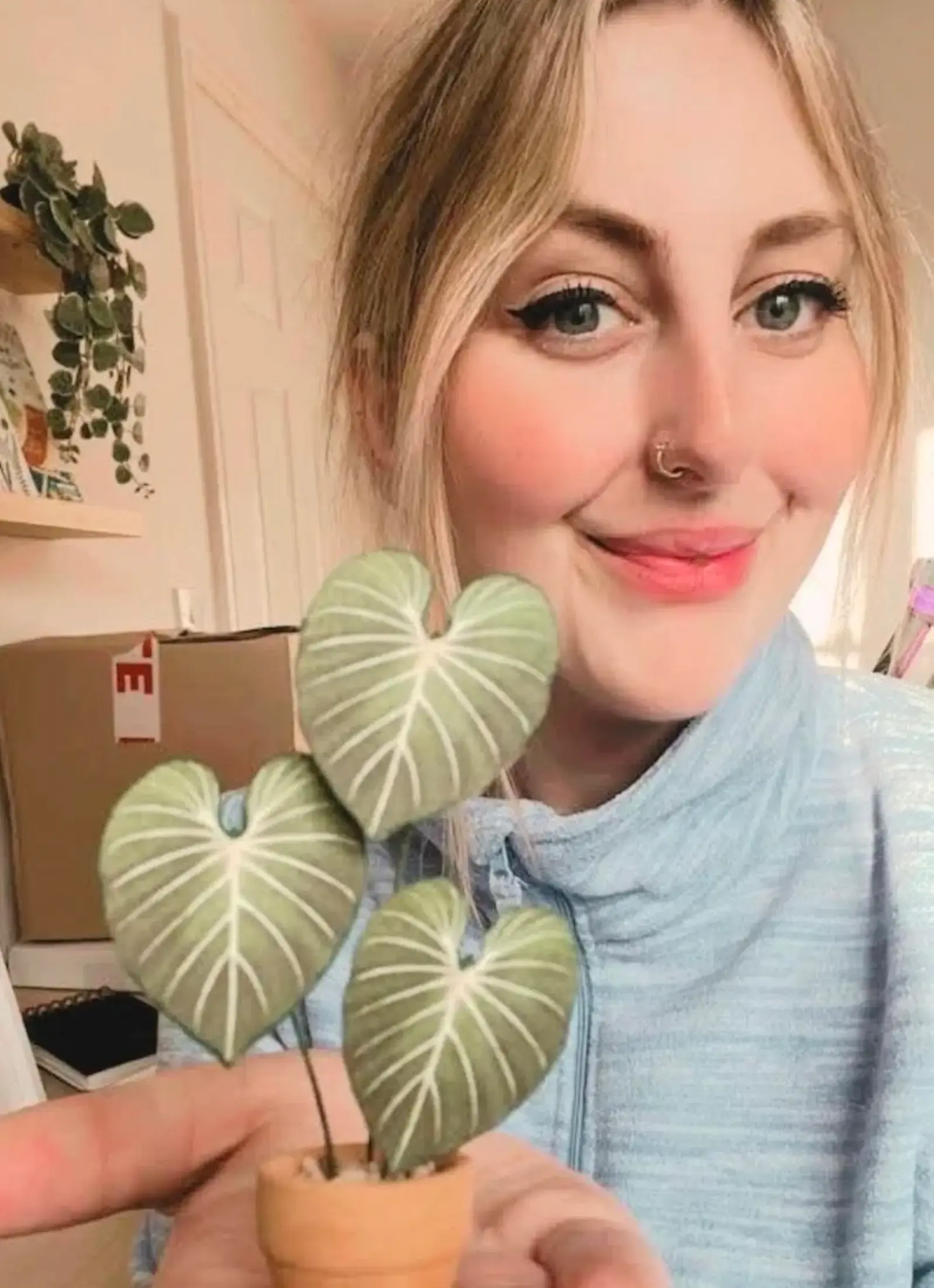 Customer holding a miniature paper Philodendron gloriosum in a terracotta pot