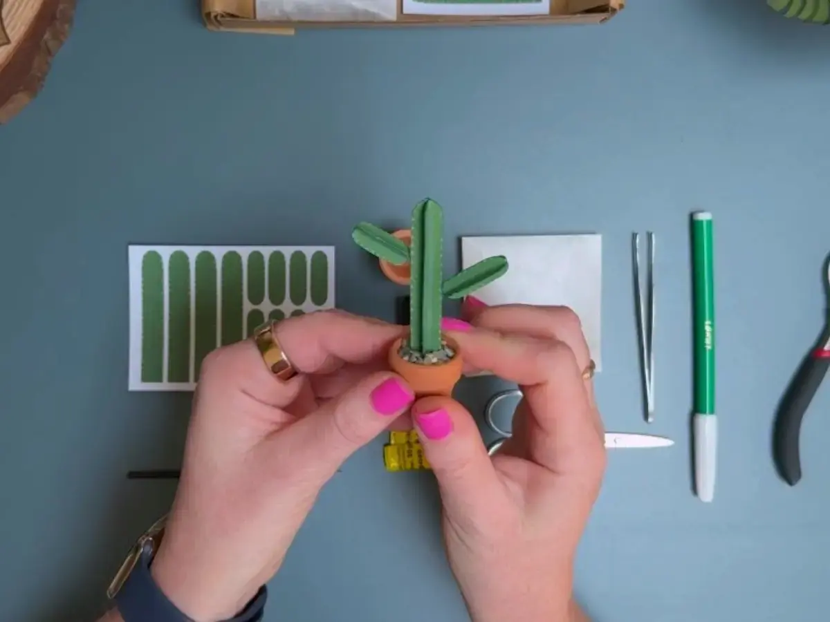 Miniature paper cactus by Nicole’s Jungle