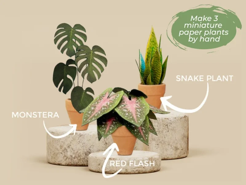 Open craft box on a table with small plants and tools visible